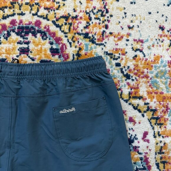 Allbirds Natural Run Shorts Womens Size M Quick Dry Unlined Outdoors Stretch - Picture 7 of 12